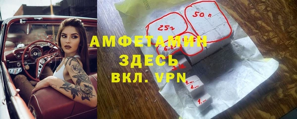 мет Бородино
