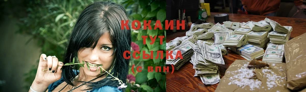мет Бородино